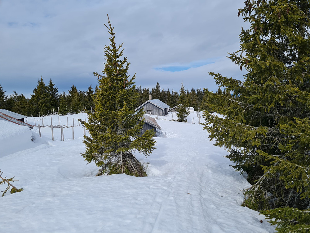Rindåsen