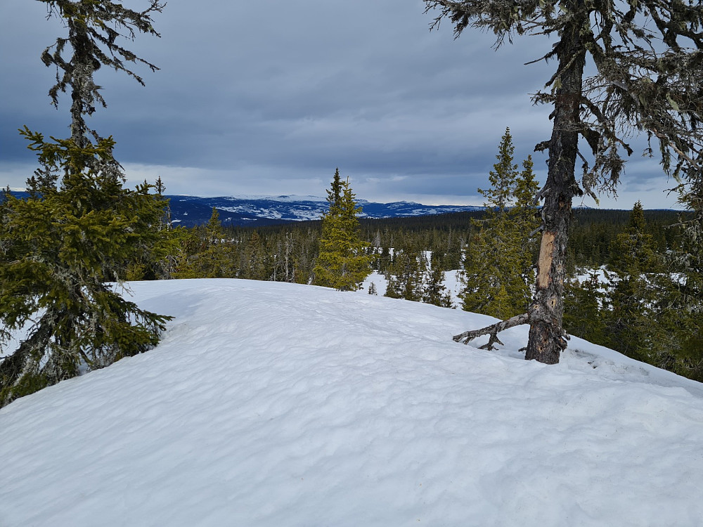 Rindåsen trigpunkt