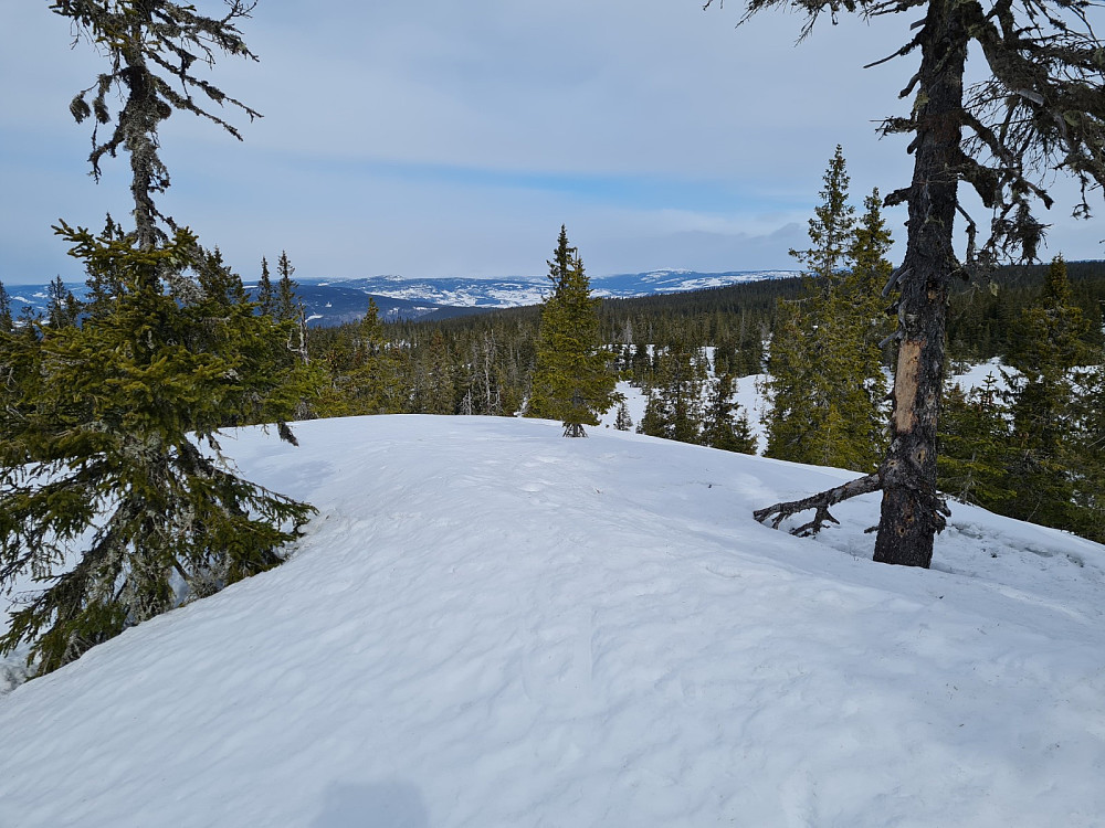 Rindåsen trigpunkt
