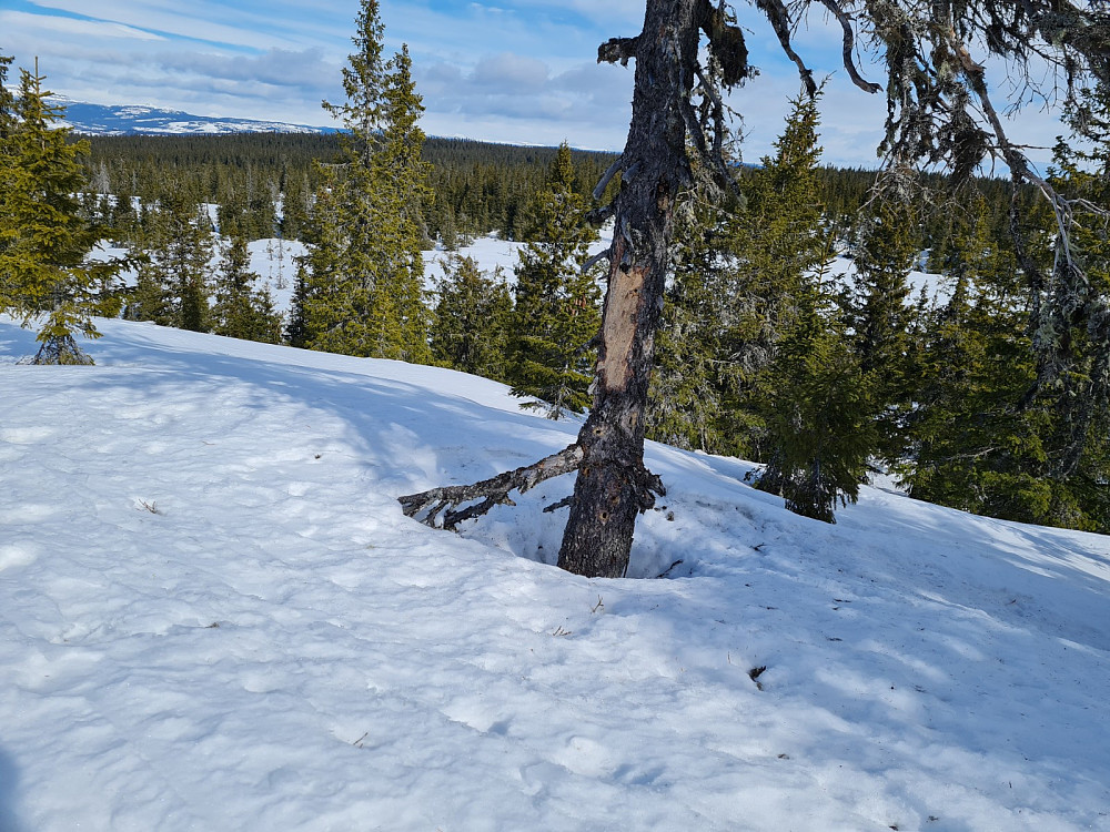 Rindåsen trigpunkt