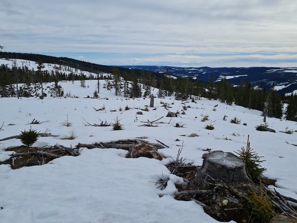 Finsrudbekkhøgda