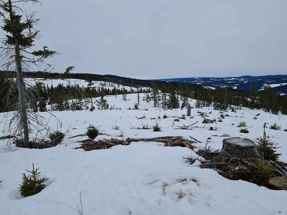 Finsrudbekkhøgda