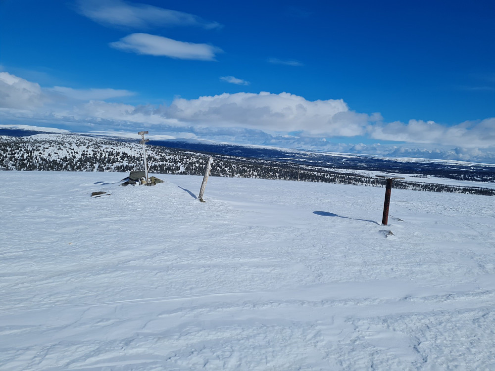 Snørvillen