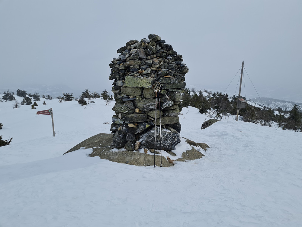 Bjørga