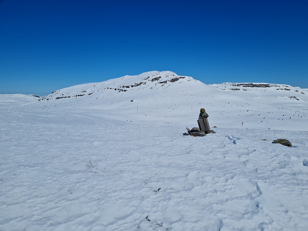 Avlundskampen