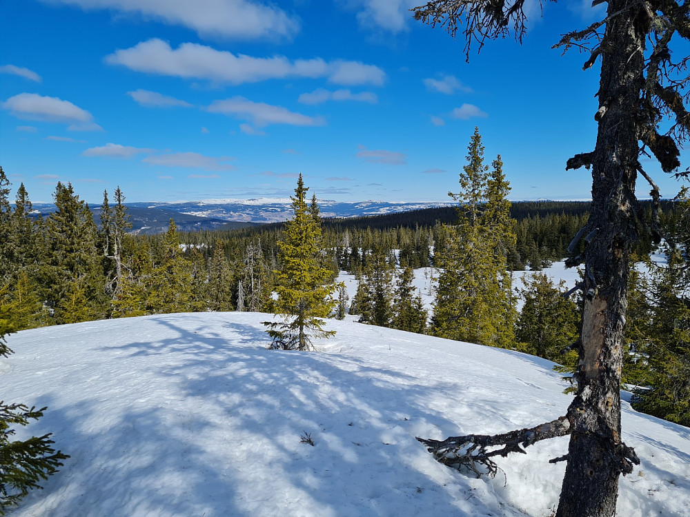 Rindåsen trigpunkt
[[image:repelo_20210426_608696aa87005.jpg|Kinnkjølens toppunkt
