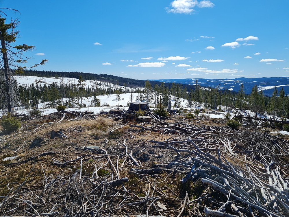 Finsrudbekkhøgda