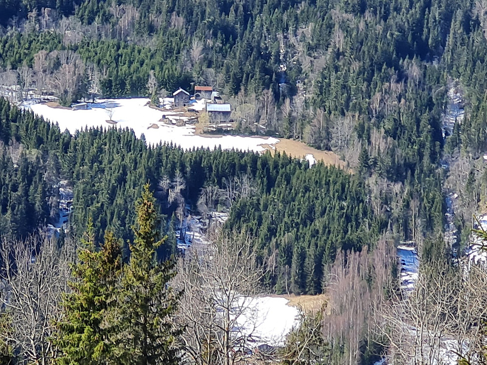 Hammershaug