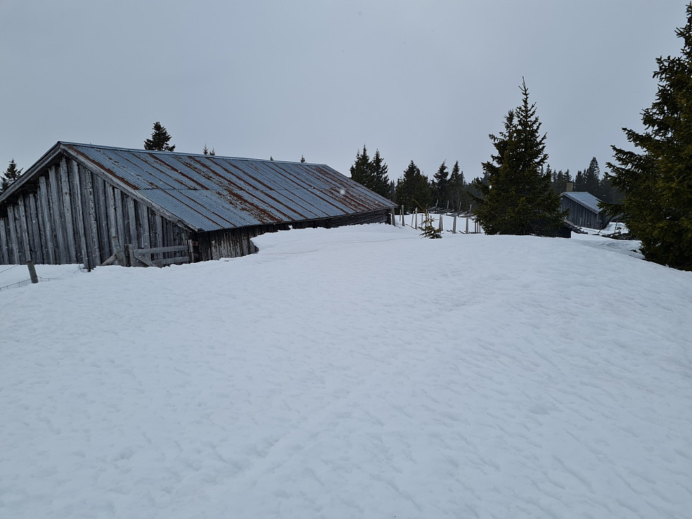 Rindåsen