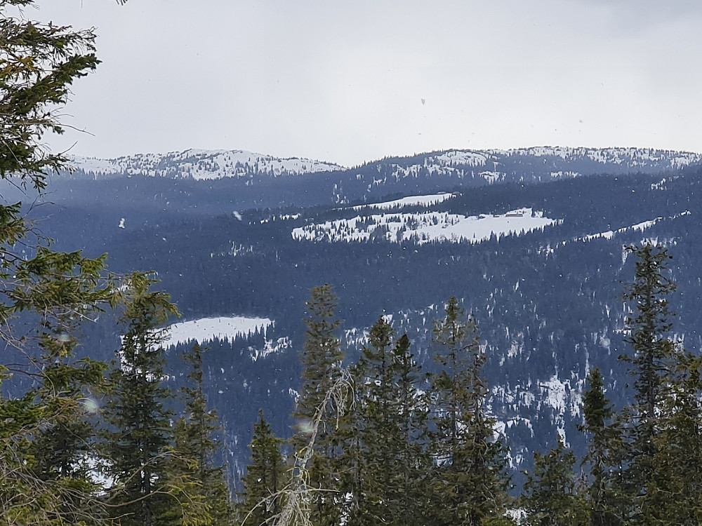 Utsikt mot Liersetra og Djupådalen fra Finsrudbekkhøgda
