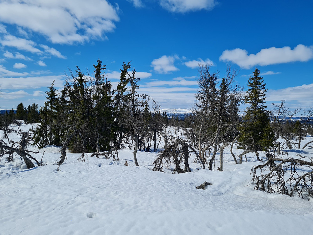 Værskeitoppen