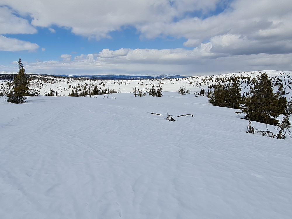 På Storrtjønnhaugen