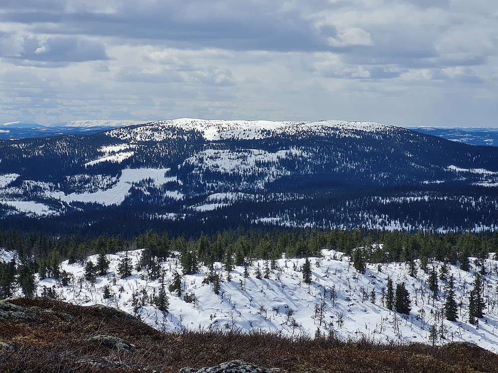 På Kjettberget, mot Nylsfjellet