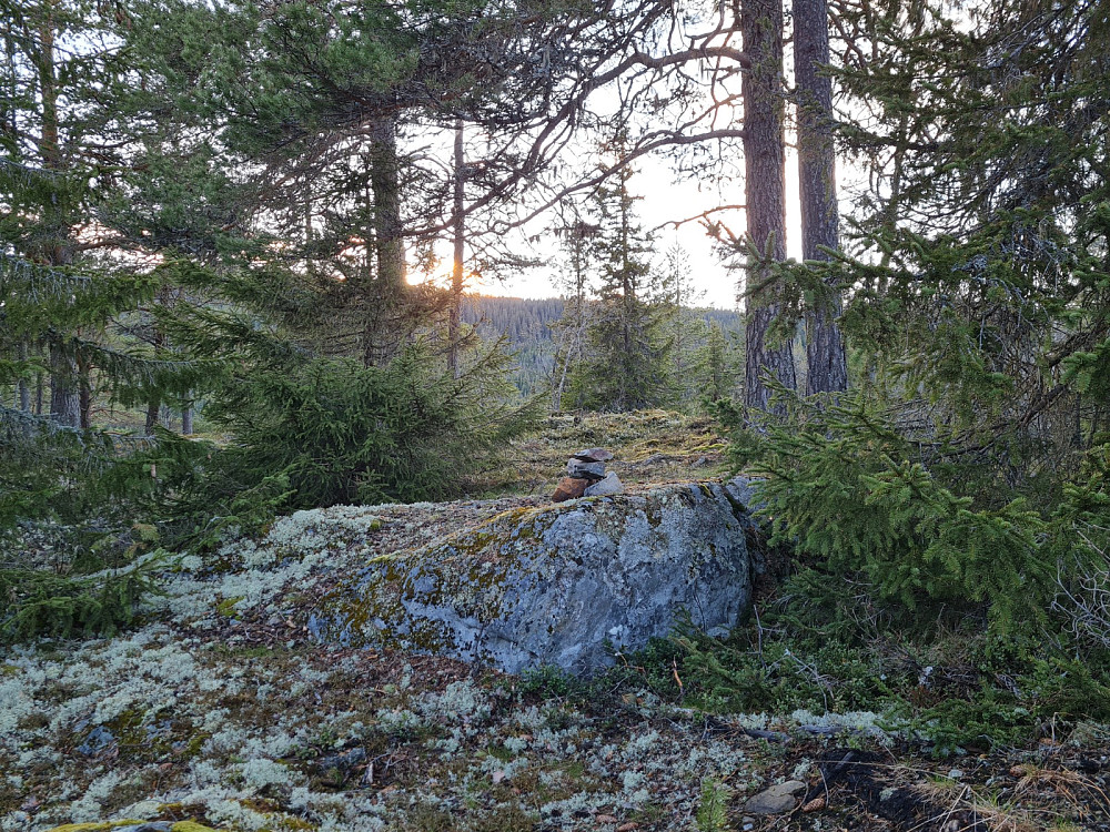 Evenvoldkollanes topp