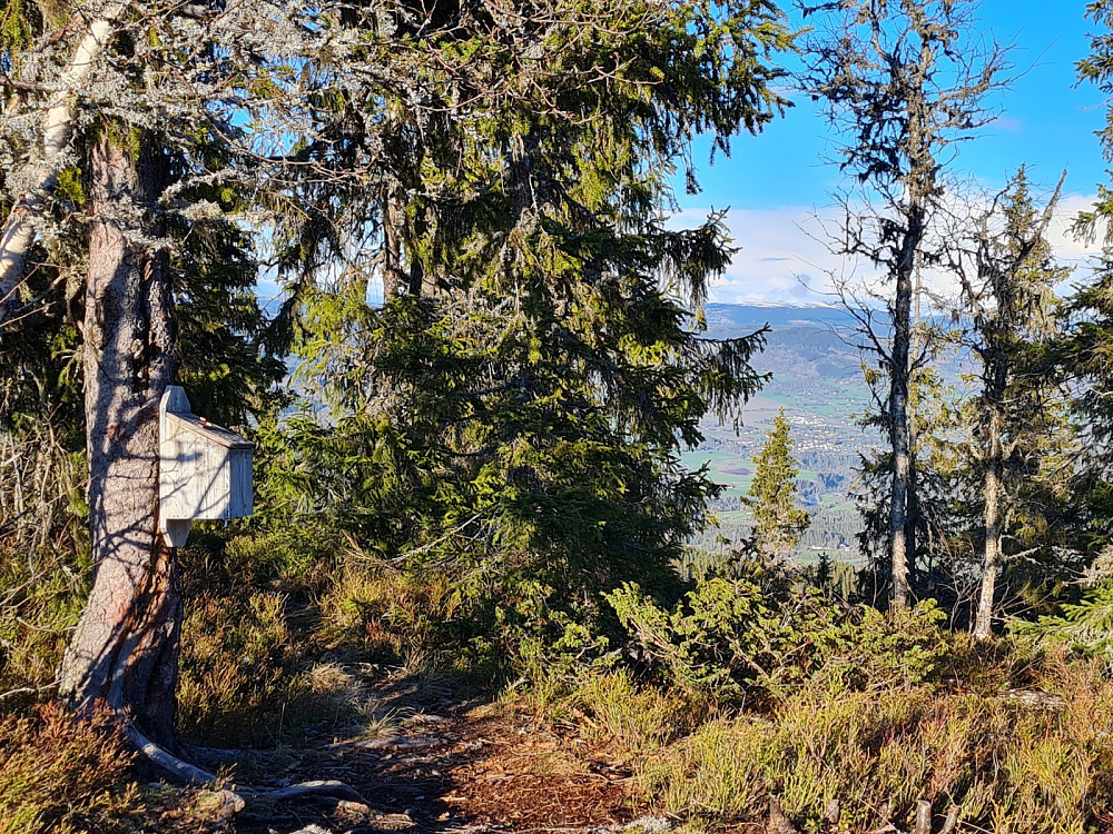 Vardkampen]{
[[image:repelo_20210520_60a6ba558d51a.jpg|Utsikt fra Vardkampen