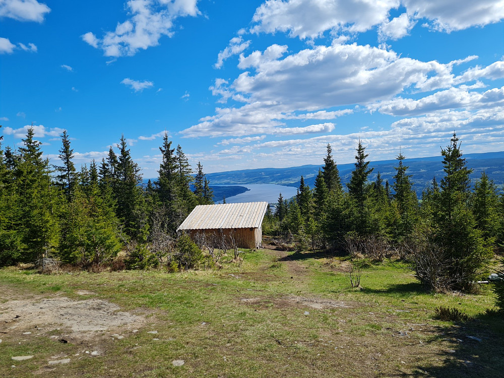 På Balberkampen