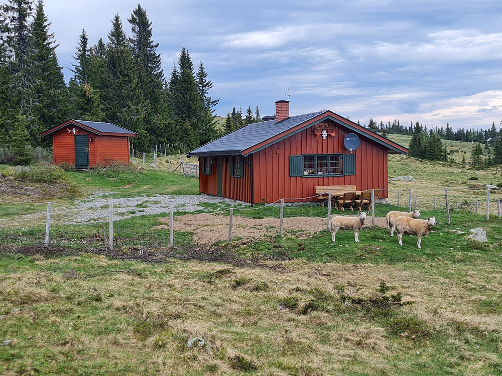 Stusslebua til Veslehakkerud på Grøtåsen