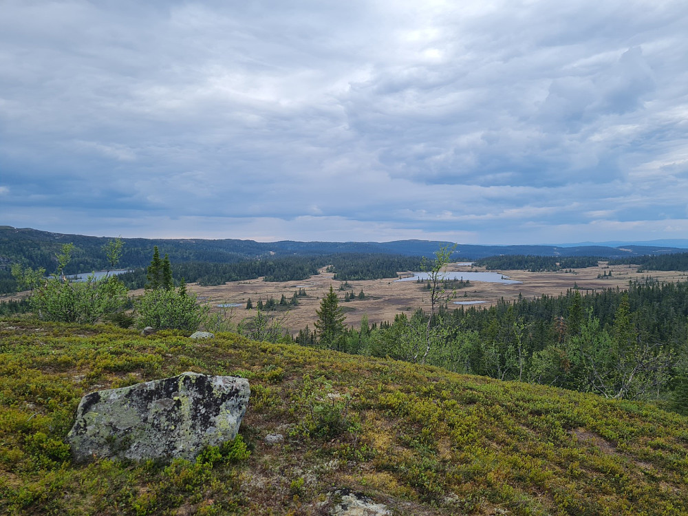 På Storhaugen, mot Hindalssjøen og Erstjønnet