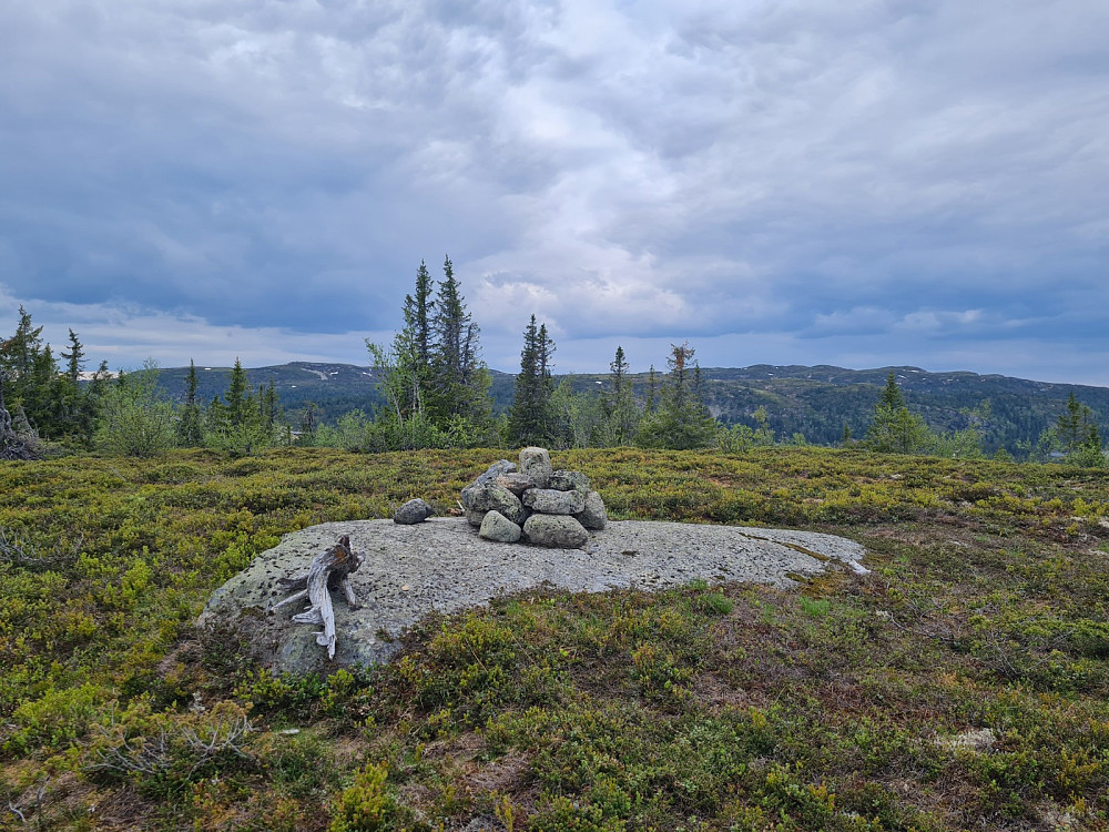Storhaugen, mot Skjelbreidsfjellet