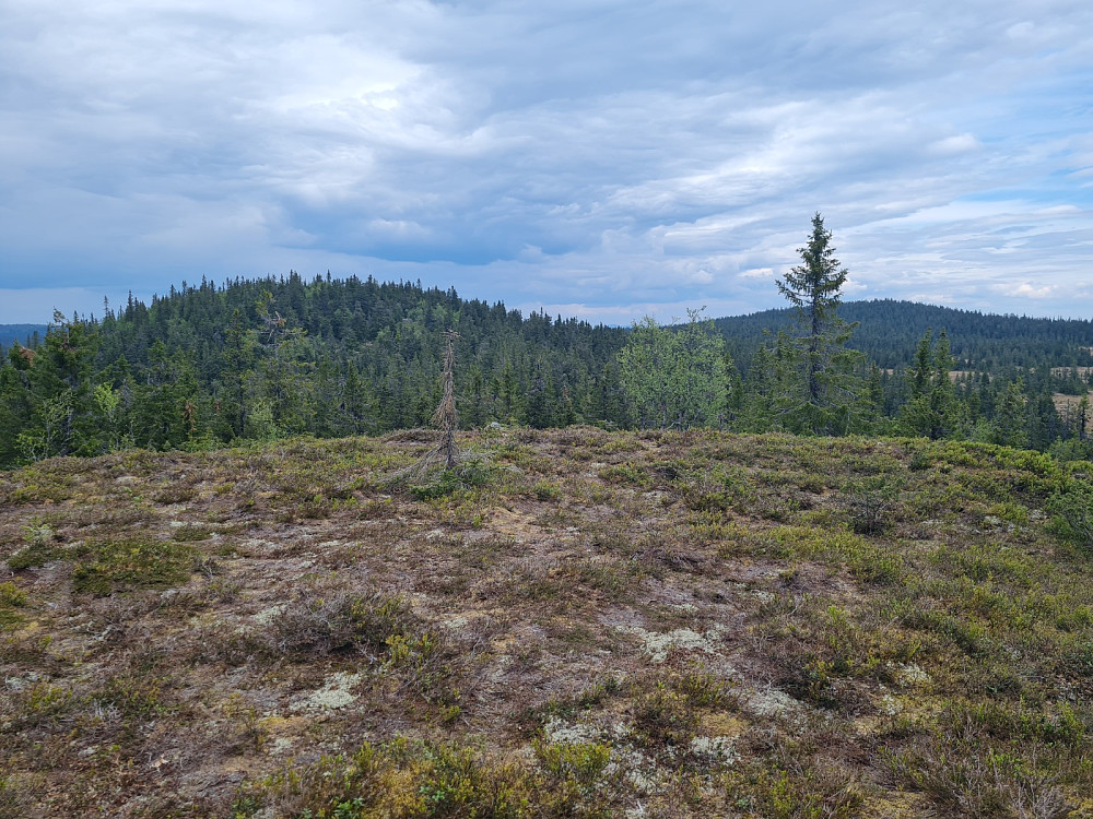 Østre Veslehaugen, mot Storhaugen og Grøtåshaugen