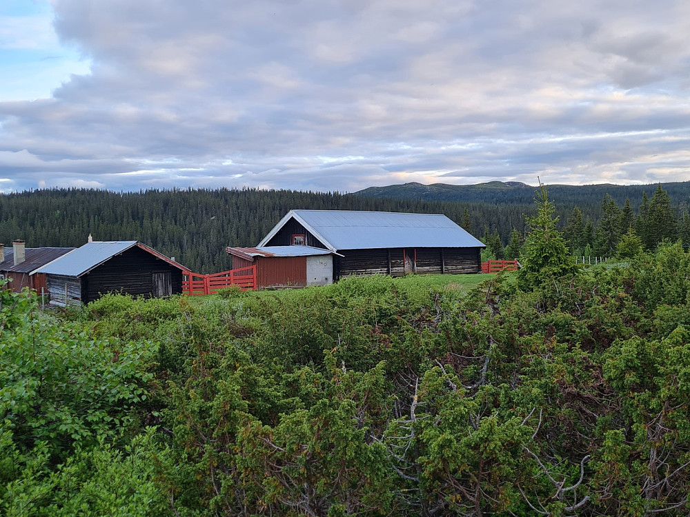 Skårsetra,mit Gammelhans