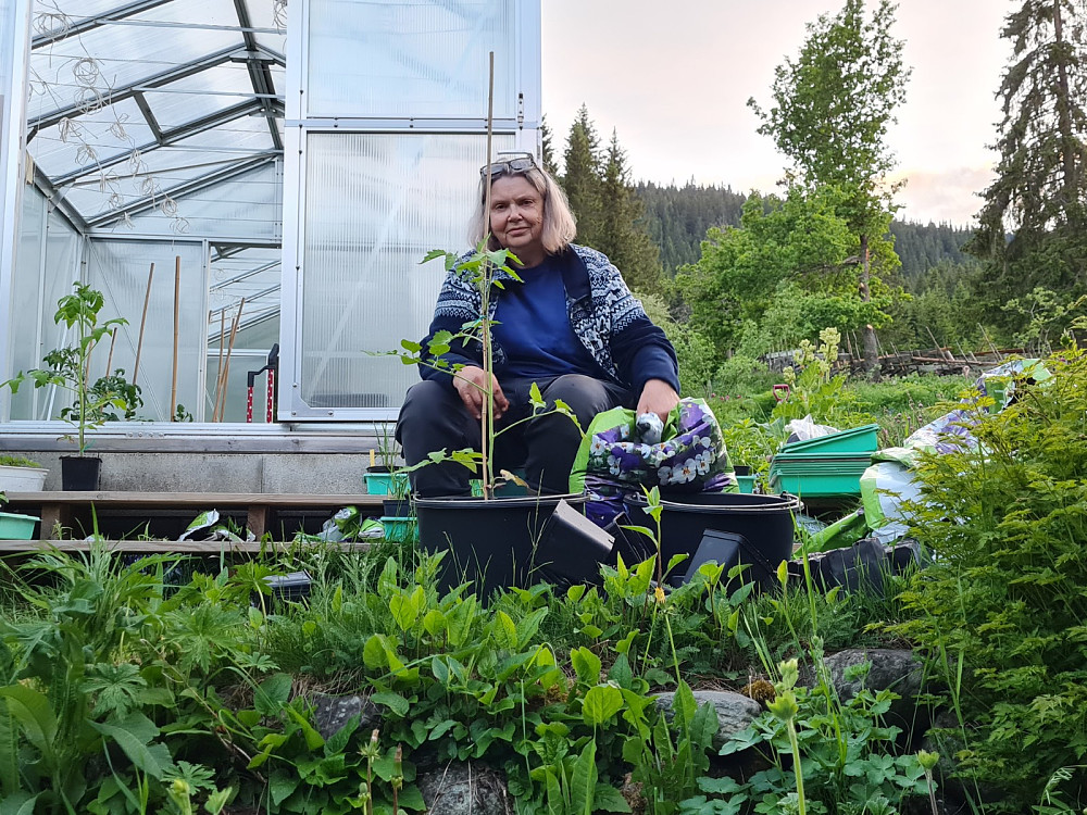 Mens jeg går på tur jobber Margrethe i hagen/drivhuset