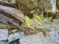 repelo_20210612_60c4e089a8e28.jpg