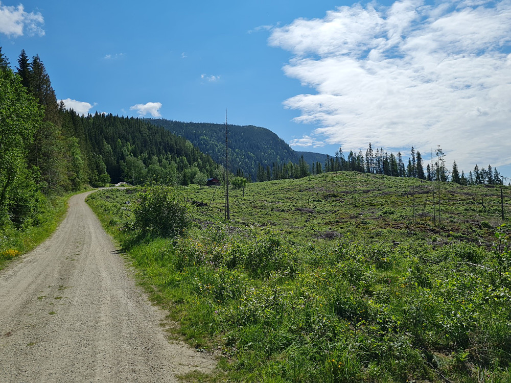 Parkerte 100 meter før Mjogdalen gård