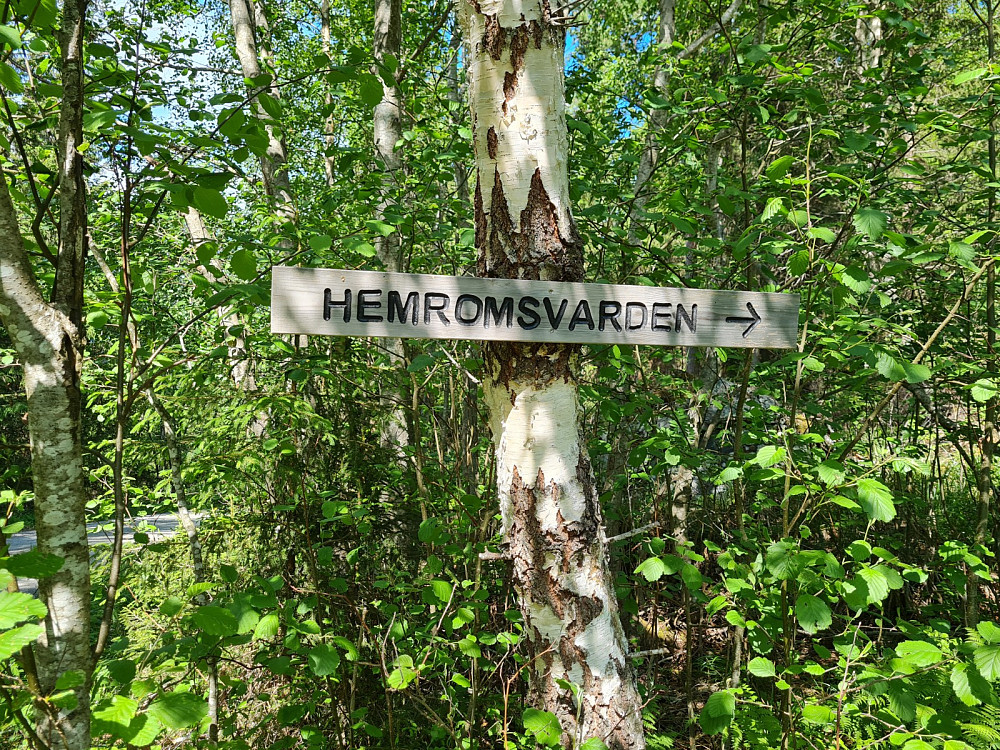 Skiltet, godt råk til Hemromsvarden/Oppsalåsen