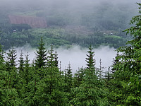 repelo_20210619_60ce5e6779edd.jpg
