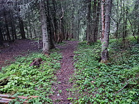 repelo_20210619_60ce5e681d928.jpg