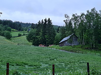 repelo_20210619_60ce5e68b4ff0.jpg