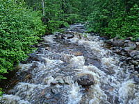 repelo_20210619_60ce5e69556eb.jpg