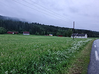 repelo_20210619_60ce5e6a9d5b8.jpg