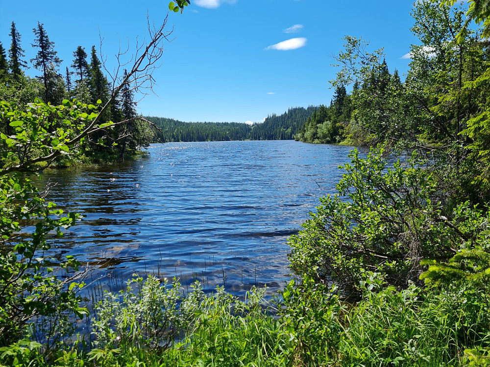 Fongsetervatnet