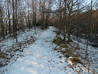 kolla_20150306_54fa0fa7408a7.jpg