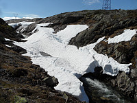kolla_20150712_55a276d6d1f3f.jpg