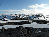kolla_20150712_55a277c3a8a1e.jpg
