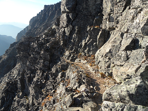 Smal sti i den bratte fjellsida til Bruraskaret.