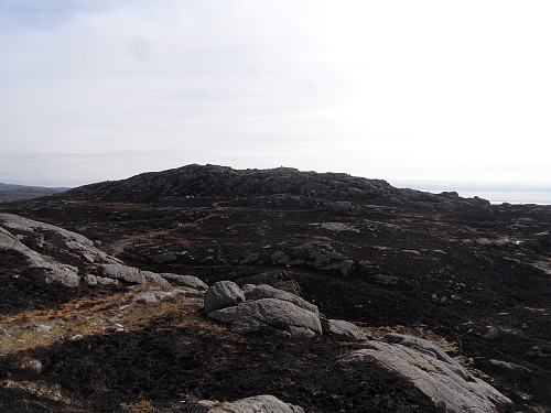 Bursfjellet.