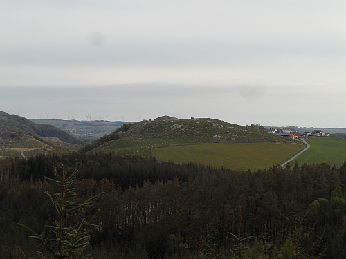 Neste topp ved garden Høga Håland.