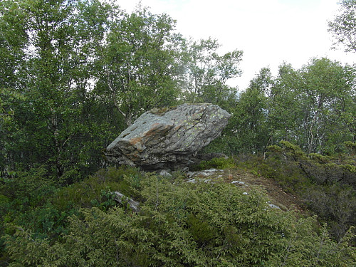 Austlig toppunkt på stor stein.