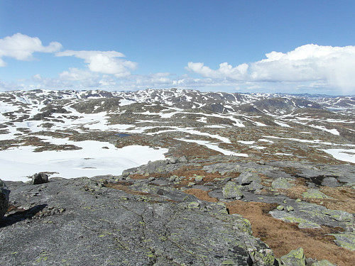 På 1295-toppen og ser nord-nordaustover mot Urdalsknuten i midten i bakgrunnen.