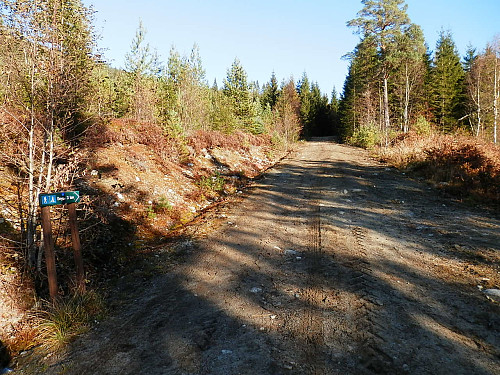 Skogsveg eit stykke opp til Åsbøsnytå.