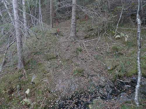 I skogen på ca 140 moh går stien rett fram til Bergefjellet og til høgre til Arasvikfjellet.