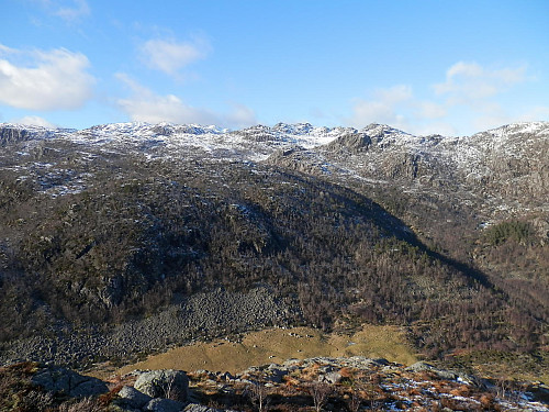 NNV mot fjellområdet mellom Madland og veen med Tverrfjellet i midten bak.