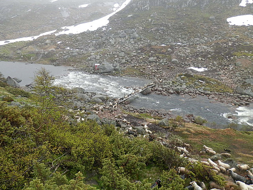 Åna mellom Rågeloni og Øyarvatnet skal krysses.