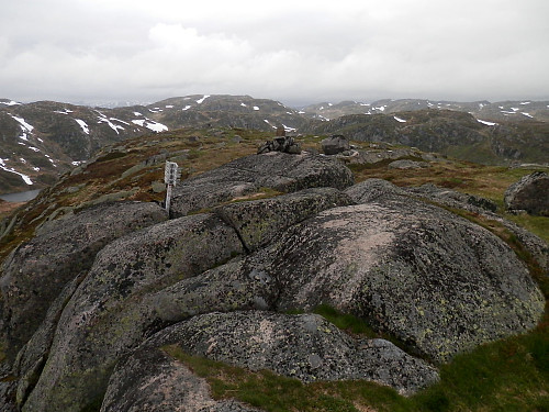 Trigpunktet på 1070-toppen aust for Øyuvsvatnet kalt Ivlungsknuten.