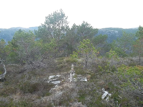 Toppen av Middagsheia med trigpunkt.