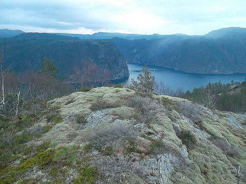 På Eidaåsen med utsikt sørover mot Tøtlandsvika.